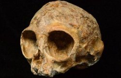 जमीन के अंदर से मिले 220 बच्चों के नरकंकाल, खोजकर्ताओं ने कहा- देवताओं को खुश करने के लिए चढ़ा दी बलि