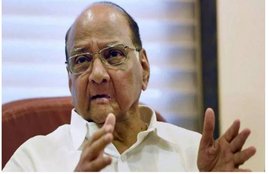 Sharad Pawar, NCP, NCP Party, Maharastra, Bharatiya Janata Party, BJP, Oath Taking Ceremony, Oath, NCP Legislators, Shivendra Raje Bhosale, Satara, Sandeep Naik, Airoli, Vaibhav Pichad, Akole, Bharatiya Janata Party, BJP, State Women’s Wing, Chitra Wagh, Warje, Dr.Amol Kolhe, Shirur, Maharashtra, State News, India News, National News, Hindi News, Jansatta News