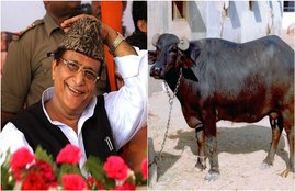 Uttar Pradesh police, azam khan, samajwadi party, rampur, rampur mp, rampur sansad, up police, sp mp, johar trust, fir