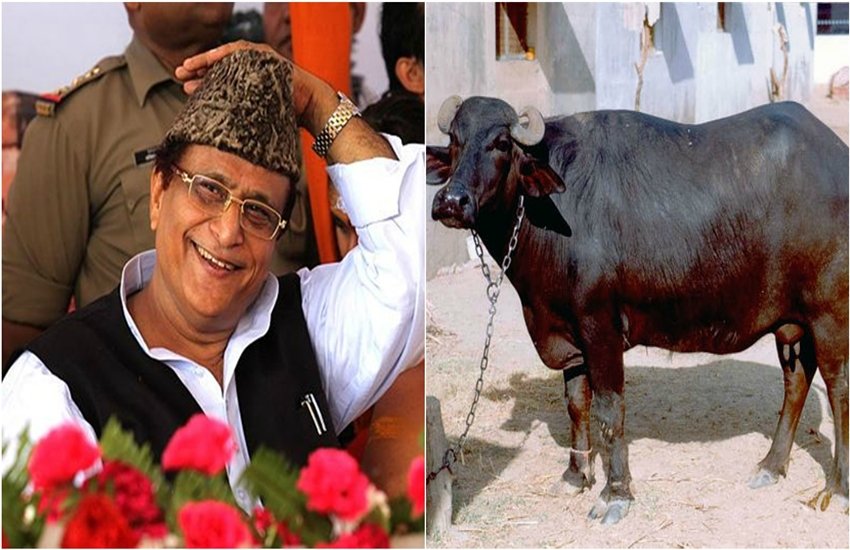 Uttar Pradesh police, azam khan, samajwadi party, rampur, rampur mp, rampur sansad, up police, sp mp, johar trust, fir