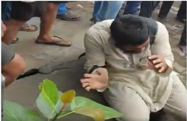 नई दिल्ली