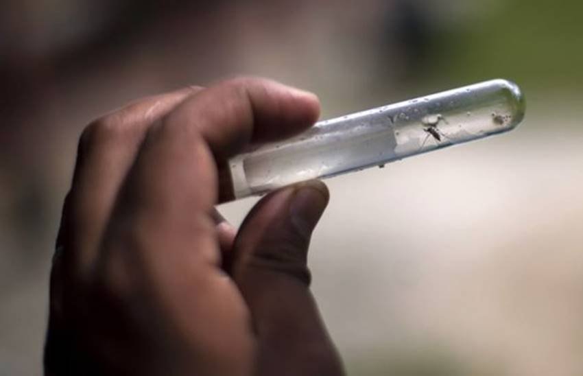 तस्वीर का इस्तेमाल प्रतीकात्मक तौर पर किया गया है। तस्वीर का इस्तेमाल प्रतीकात्मक तौर पर किया गया है।