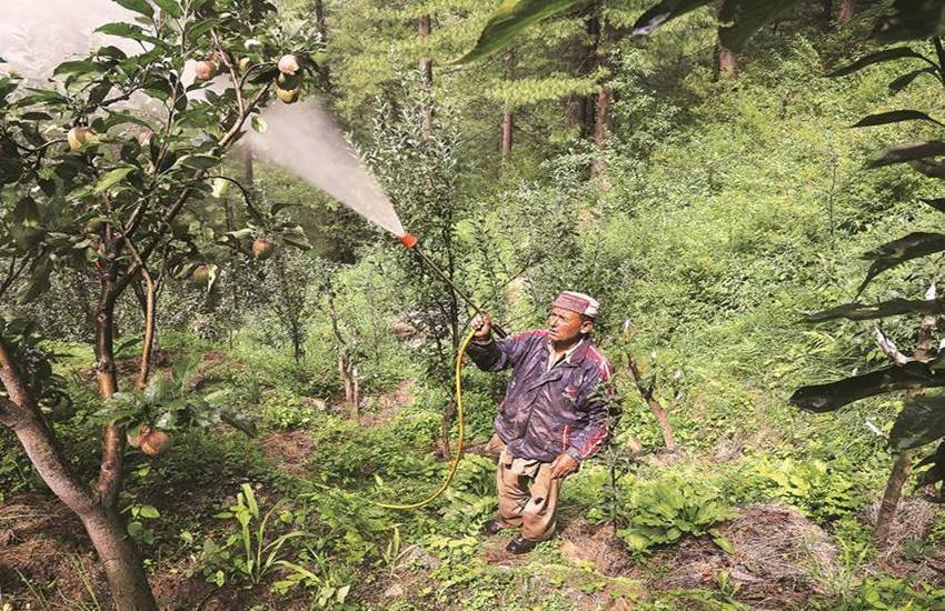 प्रदेश के पहले मुख्यमंत्री डॉक्टर यशवंत सिंह परमार ने हिमाचल प्रदेश काश्तकारी और भूमि सुधार अधिनियम-1972 में धारा 118 इसलिए जोड़ी थी ताकि हिमाचलियों की जमीन बाहरी राज्यों के रईसों व कारोबारियों के हाथ में न चली जाए और हिमाचली अपनी ही जमीन पर मजदूर बन कर न रह जाएं।