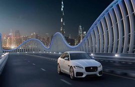 jaguar