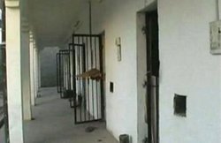 मध्य प्रदेश: छिंदवाड़ा जेल में 2 सिपाहियों को पीटकर भाग गए 8 कैदी, 3 दोबारा दबोचे