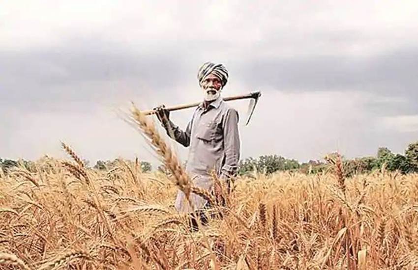 PM Kisan Pension Scheme, Modi Govt Gift To Farmers, Farmers Income, PM Kisan, monthly contribution, PM modi, voluntary pension scheme, Pradhan Mantri Kisan Pension Yojana, independence day, 15 august