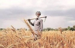 Pradhan Mantri Kisan Pension Yojana: 15 अगस्त को किसानों को सौगात, मिलेगी 3000 रुपये की पेंशन!