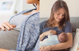 tips for pregnant women with dengue, dengue fever, symptoms of dengue, dengue causes, dengue treatment, breastfeeding during dengue, how does dengue effect pregnant women, indian express,