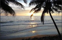 समंदर का 40 किलो सफेद बालू चुराने पर 2.5 लाख का जुर्माना