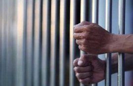 crime, crime news, tihar jail