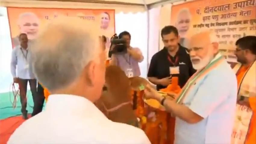 पीएम वहां मौजूद अधिकारियों से पशुओं के टीकाकरण पर भी जानकारी लेते दिखे।