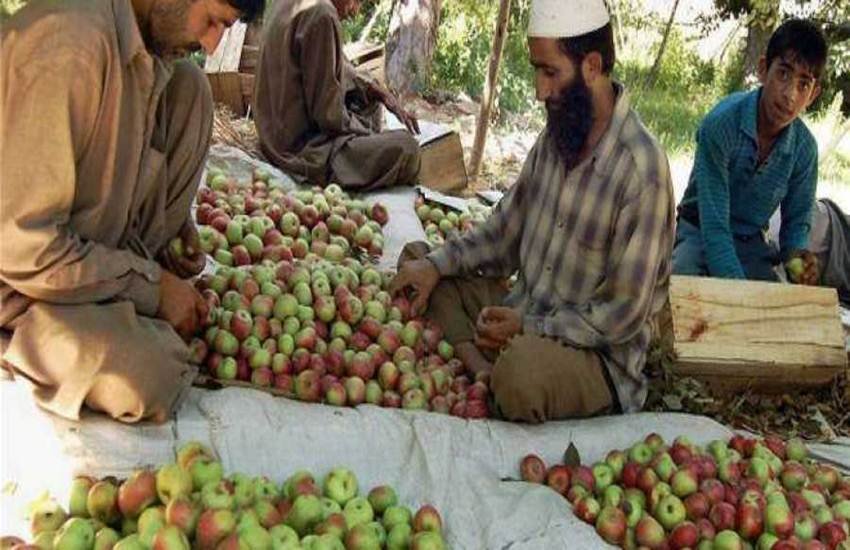 सांकेतिक तस्वीर। सांकेतिक तस्वीर।