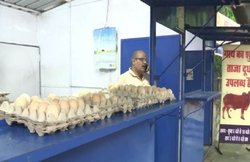 MP: चिकन-मिल्क पार्लर पर बवाल, बीजेपी बोली- हिंदुओं की भावनाएं भड़का रही कांग्रेस सरकार