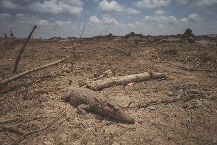 एनजीओ के खिलाफ आपराधिक मामले दर्ज होंगे।