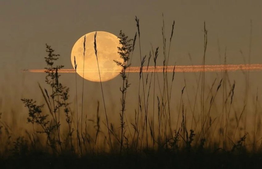 20 साल में एक बार नजर आता है Harvest Moon (प्रतीकात्मक तस्वीर)