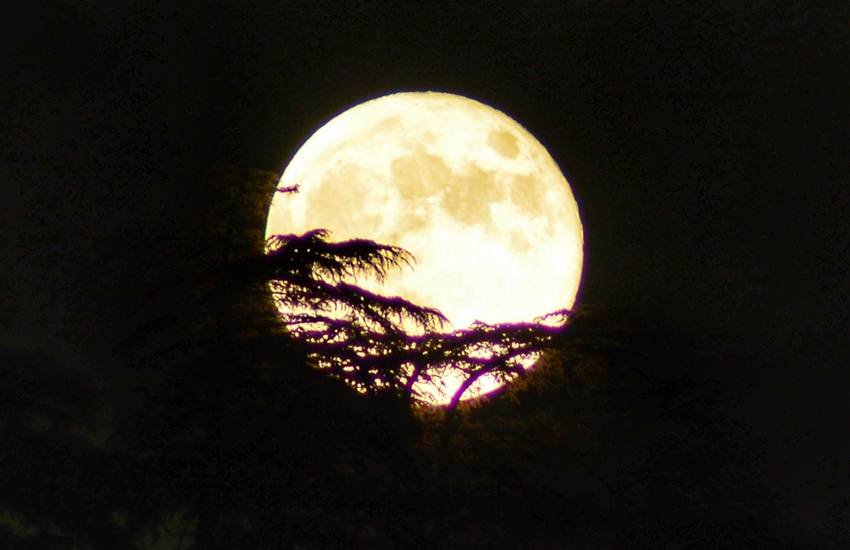 मिशन पर दुनिया की निगाहें टिकीं। फोटो: इंडियन एक्सप्रेस मिशन पर दुनिया की निगाहें टिकीं। फोटो: इंडियन एक्सप्रेस