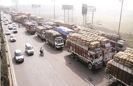 delhi