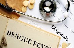 Dengue fever: डेंगू होने पर क्या सच में पपीते के पत्ते का जूस फायदेमंद है? जानिए एक्सपर्ट की राय