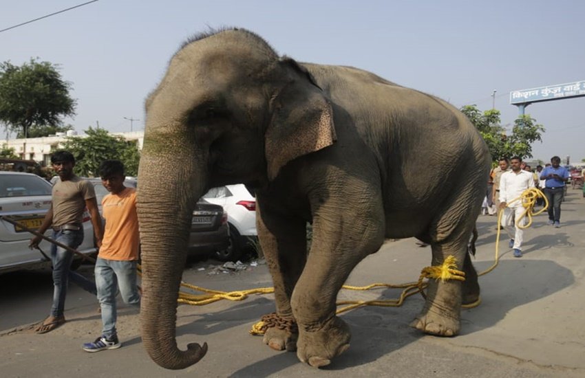 delhi