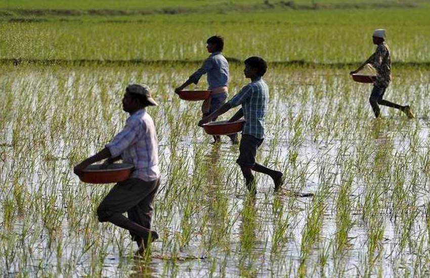 MP: किसानों की आय दोगुनी करने को JNKVV में नई तकनीक ईजाद, नाम दिया गया- जवाहर मॉडल