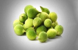 डायबिटीज से लेकर कैंसर तक के लिए रामबाण है स्पाइनी लौकी या कांटोला