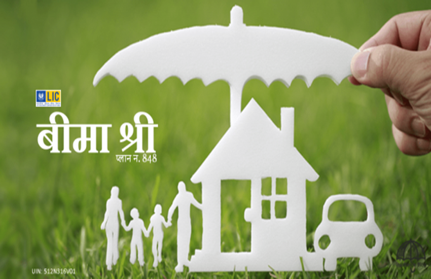 कैसा है LIC Bima Shree प्लान? सुरक्षा और सेविंग्स के साथ मिलेगा ये सब, समझें गणित