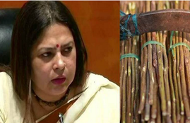 no plastic use, govt to ban plastic use, meenakshi lekhi on plastic use, meenakshi lekhi says use neem twigs