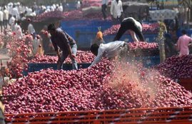 MMTC, Lasalgaon, Onion, onion import, pakistan, Maharashtra, onion farmers, Swabhimani Shetkari Sanghtana, MMTC tender, kharif crop, india news, Hindi news, news in Hindi, latest news, today news in Hindi