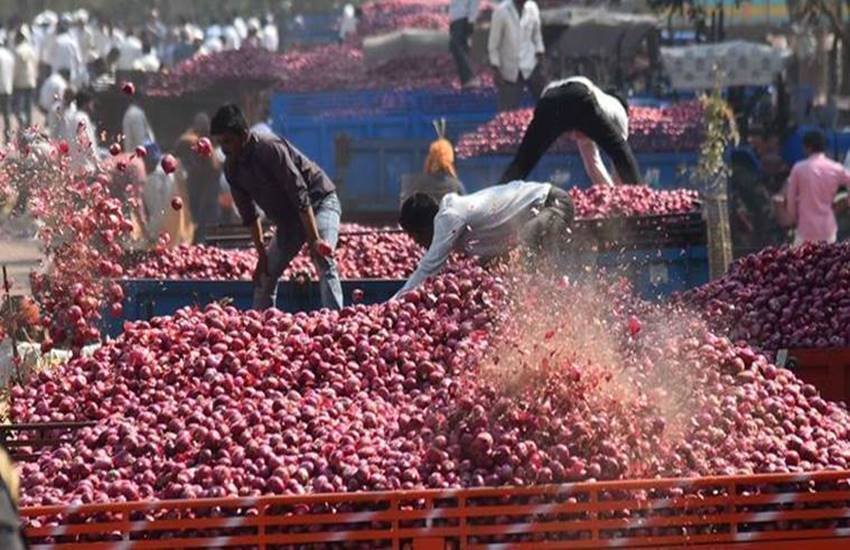 MMTC, Lasalgaon, Onion, onion import, pakistan, Maharashtra, onion farmers, Swabhimani Shetkari Sanghtana, MMTC tender, kharif crop, india news, Hindi news, news in Hindi, latest news, today news in Hindi MMTC, Lasalgaon, Onion, onion import, pakistan, Maharashtra, onion farmers, Swabhimani Shetkari Sanghtana, MMTC tender, kharif crop, india news, Hindi news, news in Hindi, latest news, today news in Hindi