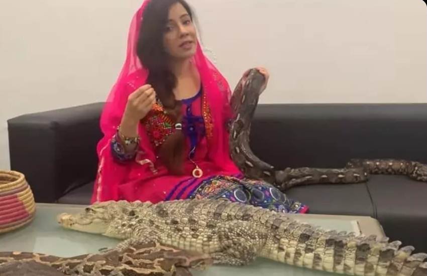 Pakistan, pop singer, Rabi Pirzada, faces jail ,, threatens, PM Modi, python, पाकिस्तान, पॉप सिंगर, रबी पीरजादा, रबी पीरजादा को होगी जेल, अजगर, Entertainment News, Entertainment News in Hindi, Hindi News, Hindi News Today