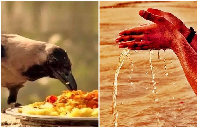 Pitru Paksha Chaturdashi 2019: पितृ पक्ष की चतुदर्शी आज, जानें इस दिन किन लोगों का किया जाता है श्राद्ध, ये है विधि