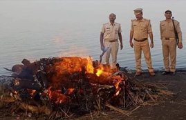 up police