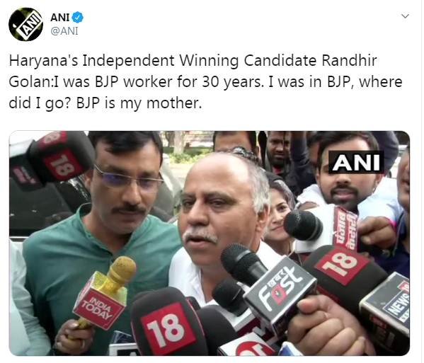 ani image