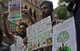 Trees Cut Aarey Mumbai