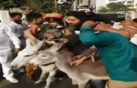 BSP, BSP workers, bsp chief, bsp supremo, mayawati, congress, bjp, mayawti tweet, bsp twitter, crime, police, jaipur bsp, jaipur news