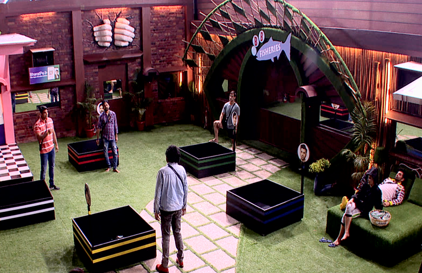 bigg boss, bigg boss 13, bigg boss upcoming episode, bigg boss 12, bigg boss 11 contestants, bigg boss 12 contestants, bigg boss season 13, bigg boss 2019, bigg boss winners, rashmi desai, rashmi desai age, rashmi desai instagram, rashmi desai husband, Rashmi desai breaks down in bigg boss house, bigg boss 13 contestant, bigg boss 13 voting, bigg boss 13, bigg boss 13 contestant, bigg boss 13 live, bigg boss 13 contestants name, bigg boss 13 timming, bigg boss 13 written update, bigg boss 13 list, bigg boss 13 epiosde 8 live, bigg boss 13 colors, bigg boss 13 salman khan, bigg boss 13 contestants list