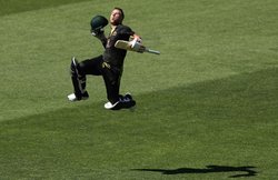 दिवाली के दिन एडिलेड में हुए ‘धमाके’, जन्मदिन पर डेविड वॉर्नर ने 56 गेंदों पर ठोका अपना पहला T20 इंटरनेशनल शतक