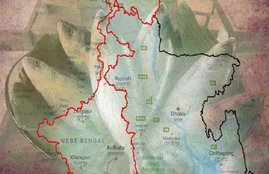 Partition of Bengal 1905
