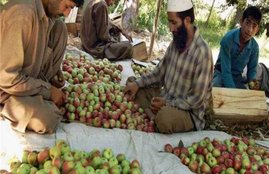 Jammu Kashmir, Article 370