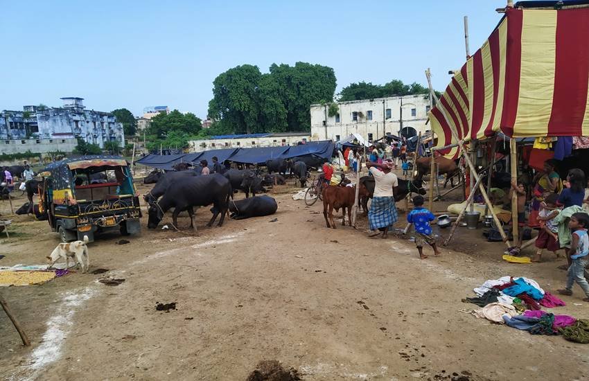 हालांकि इन शिविरों का ज़िलाधीश प्रणब कुमार ने दौरा कर जरूरी हिदायतें दी है। हालांकि इन शिविरों का ज़िलाधीश प्रणब कुमार ने दौरा कर जरूरी हिदायतें दी है।
