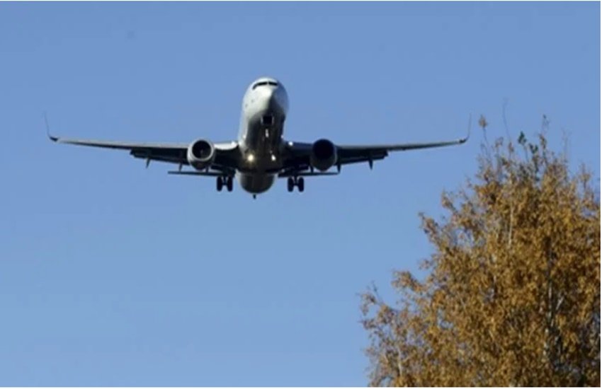 crime, crime news, couple