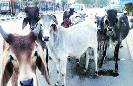 mathura