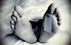 नई दिल्ली