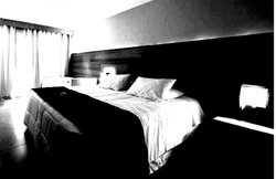 पत्नी की हत्या कर बेड के नीचे लाश छिपाई, पति उसी पर सोता और रोज जाता था ऑफिस