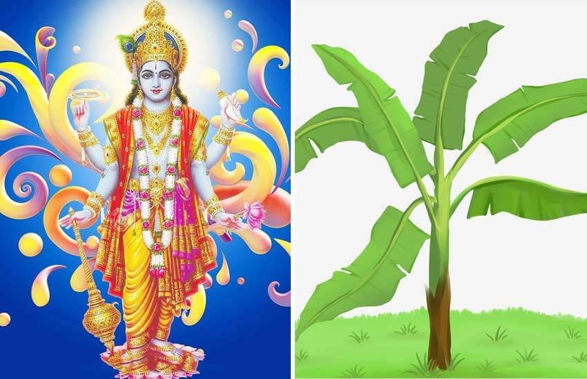 धर्म शास्त्रों में गुरुवार व्रत के बारे में वर्णन मिलता है कि इसे साल में 16 बार करना चाहिए। धर्म शास्त्रों में गुरुवार व्रत के बारे में वर्णन मिलता है कि इसे साल में 16 बार करना चाहिए।