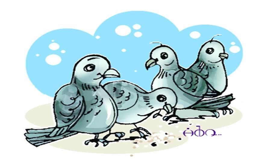 कविता: आए कबूतर