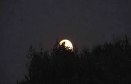 karwa chauth 2019, moon rise time, moon rise time today, moon rise time today, karwa chauth moon rise time today, moon rise time, moon rise time today, moon rise time today india, karwa chauth moon rise time today india, moon rise time today india, karwa chauth chand timings, karwa chauth chand timings today, moon rise time today in india, moon rise tonight, moon rise today in Delhi, moon rise today in mumbai