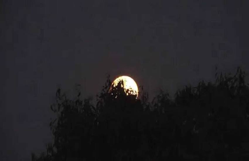 karwa chauth 2019, moon rise time, moon rise time today, moon rise time today, karwa chauth moon rise time today, moon rise time, moon rise time today, moon rise time today india, karwa chauth moon rise time today india, moon rise time today india, karwa chauth chand timings, karwa chauth chand timings today, moon rise time today in india, moon rise tonight, moon rise today in Delhi, moon rise today in mumbai