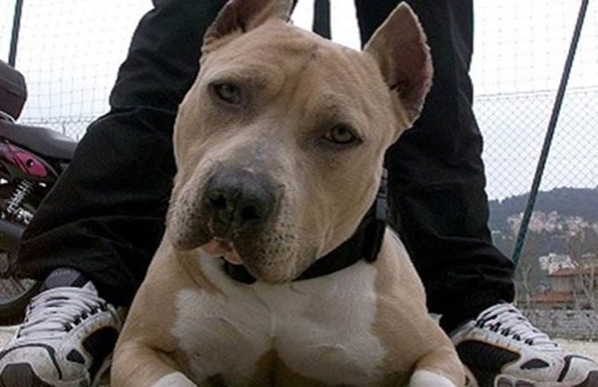 crime, crime news, rape