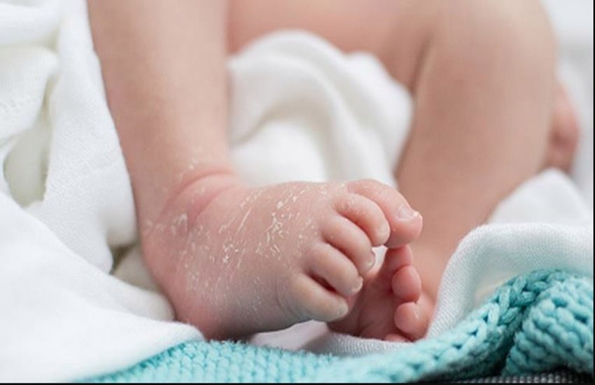 crime, crime news, murder